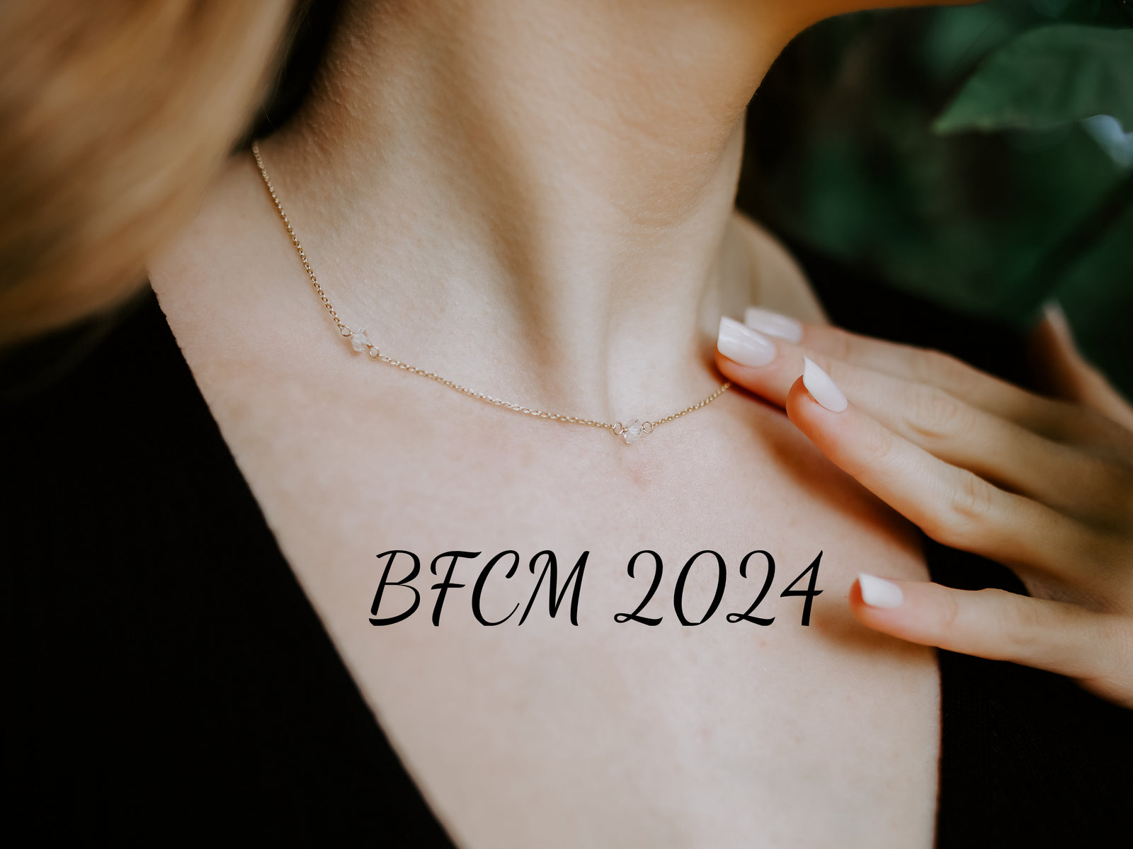 BFCM 2024 Details