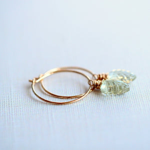 Palm Hoops