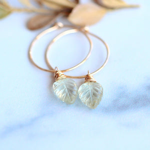 Palm Hoops