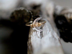 Moonbeam Ring - Rose Quartz