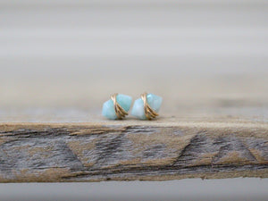 Pike Studs - Larimar